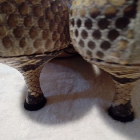 Manolo Blahnik Snakeskin Heels - Brown and Cream - Picture 2 of 6